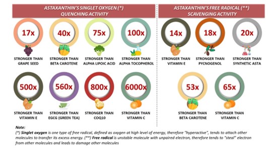 בריאות תזונתית